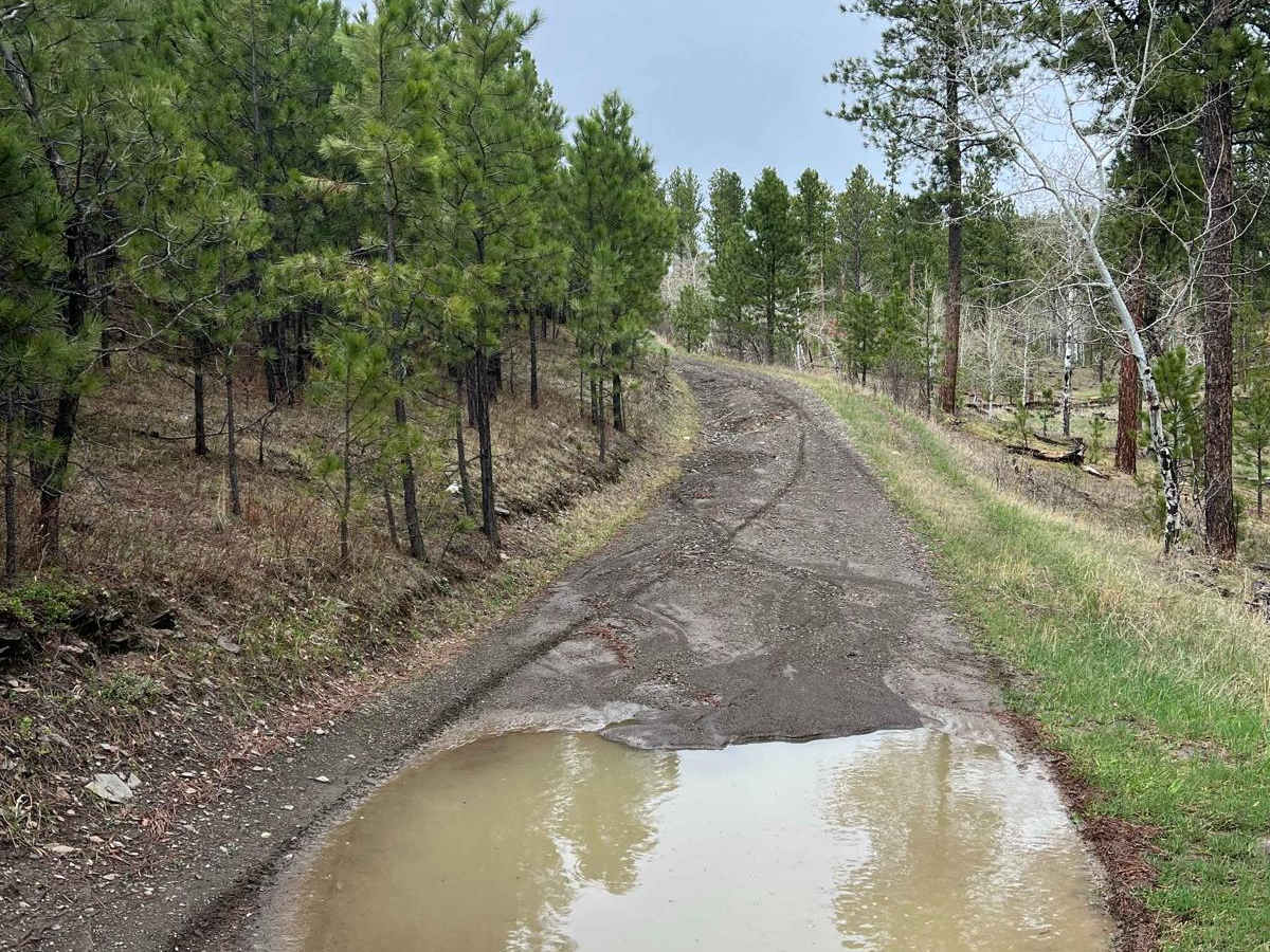 East Gimlet Trail photo 3