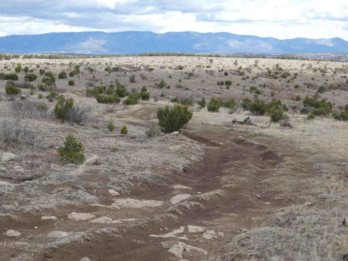 Cactus Canyon photo 4