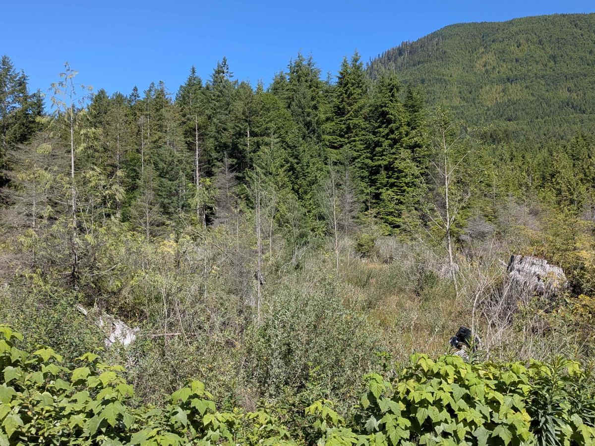 Salmon Beach photo 2