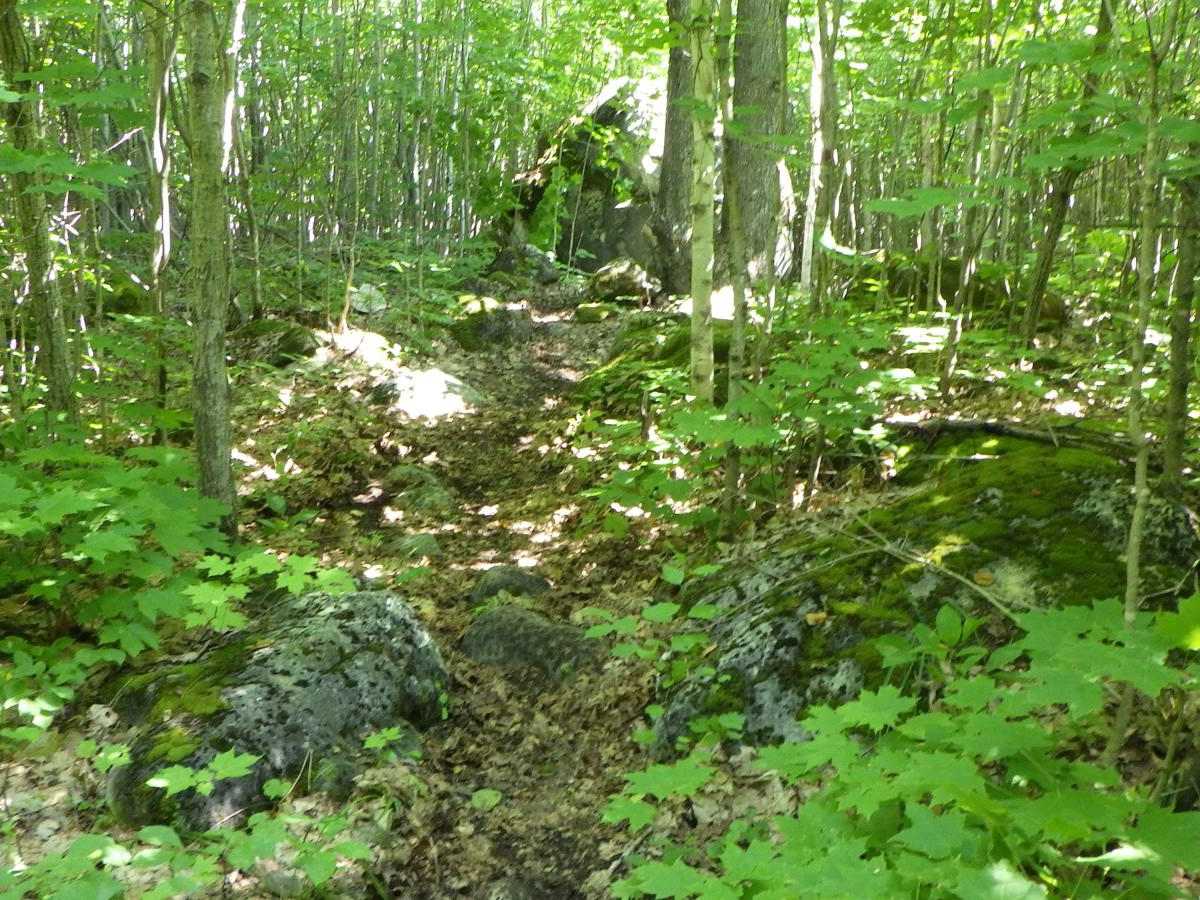 Birch Hill Motorcycle Trail photo 2
