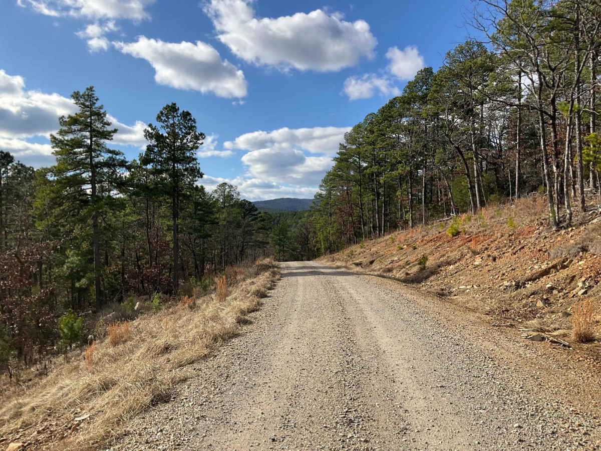 West Kelly (A45) trail photo