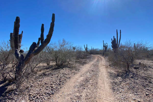 Lopez Loop