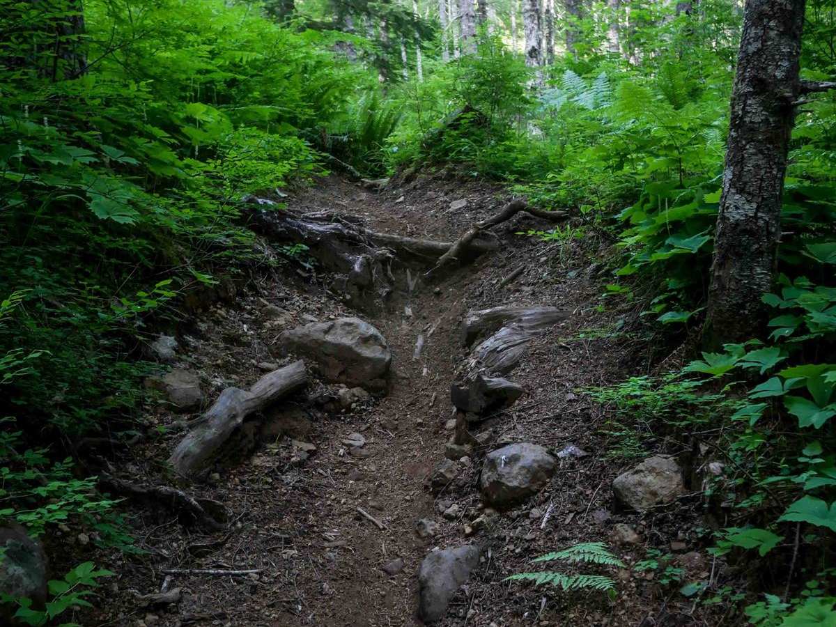 #104 (Difficult) trail photo