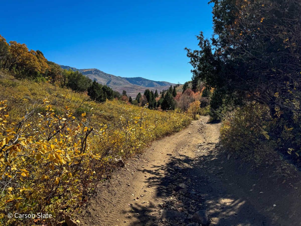 Public Grove ATV Trail photo 4