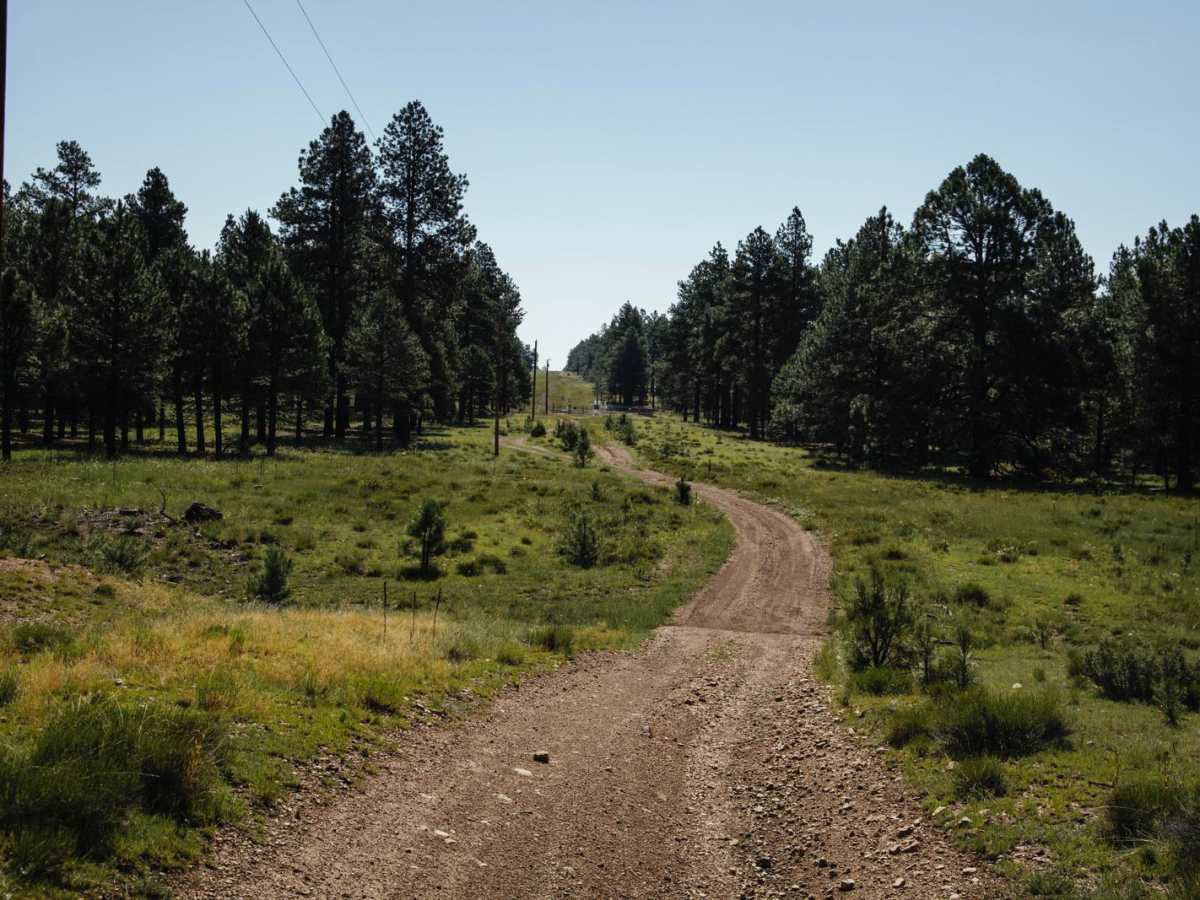 Pipeline Mid photo 6