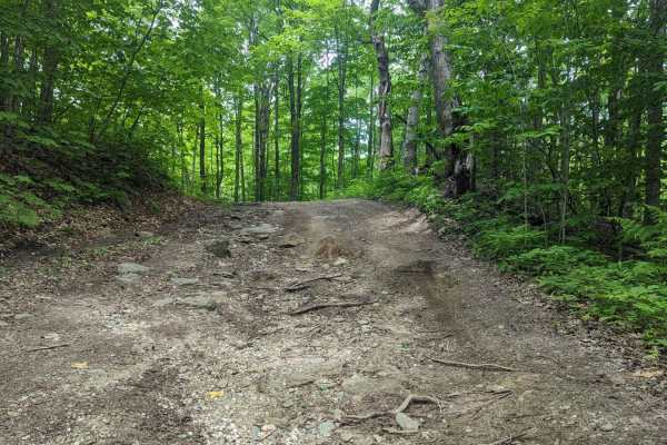 Adams Road