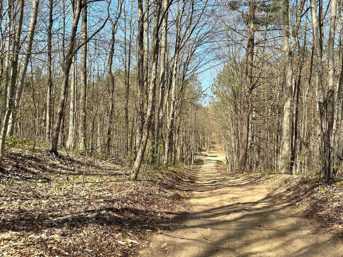 Cadillac Area ORV/OHV Scenic Ride - Part 12 photo 6