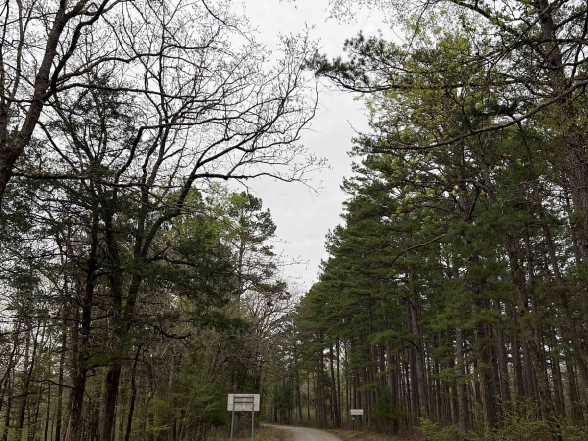 Shores Lake Road 1501 trail photo