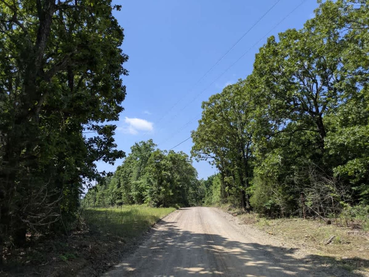D0670 photo 6