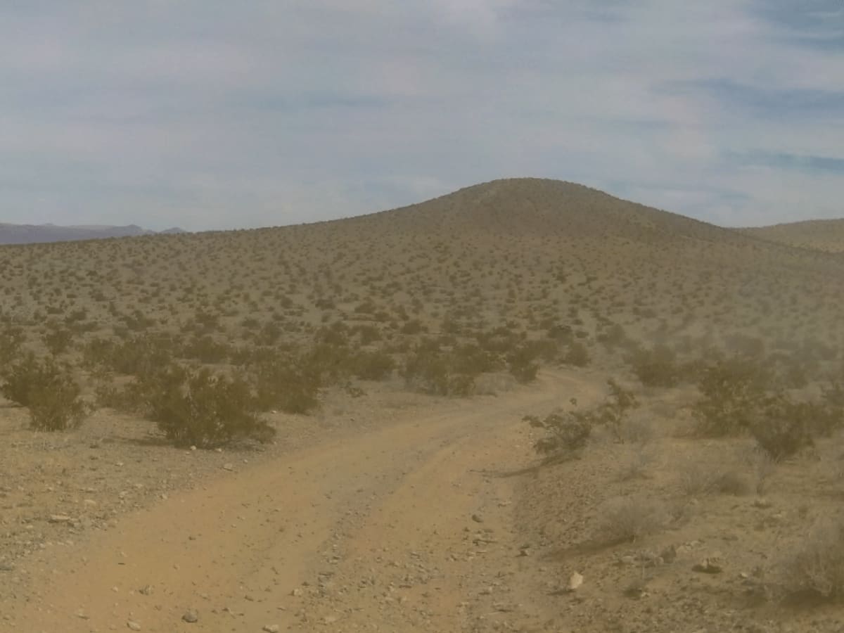 Hinkley Desert Lighthouse photo 5