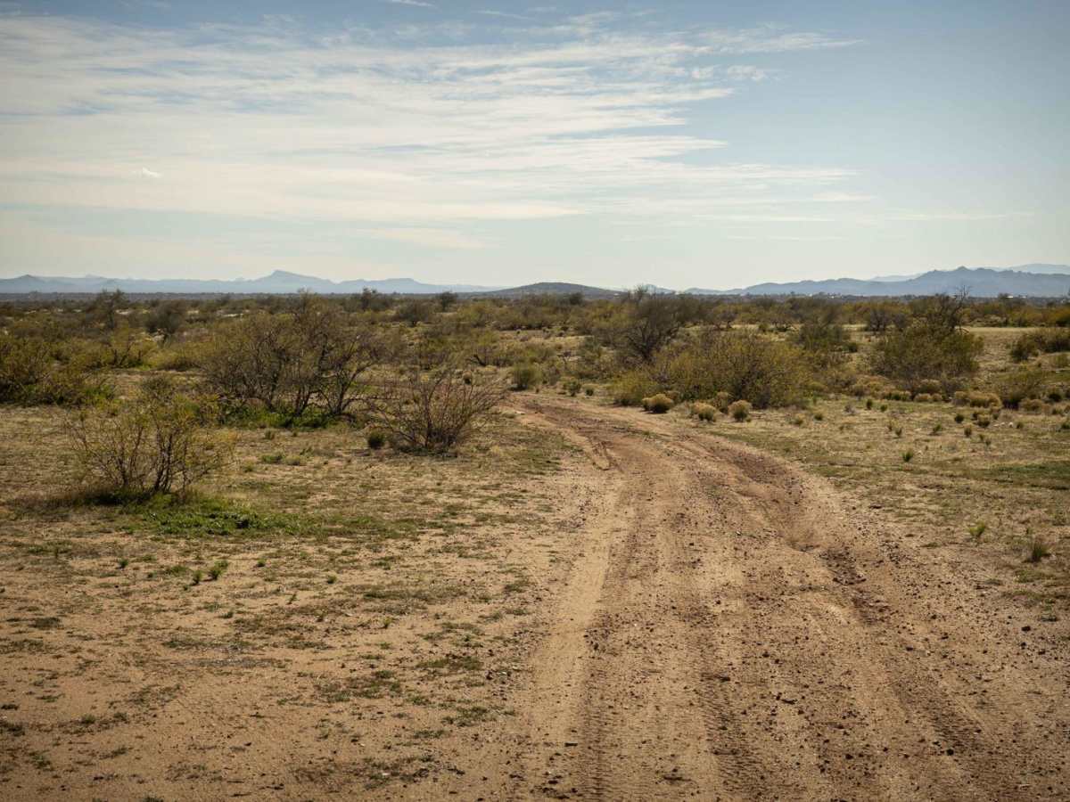 Center of Mass trail photo