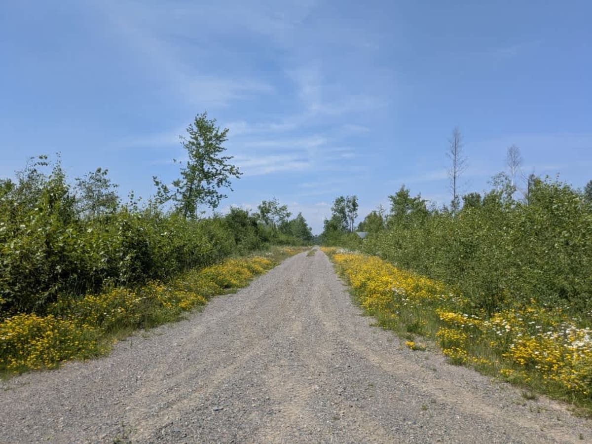 Markham Road photo 3