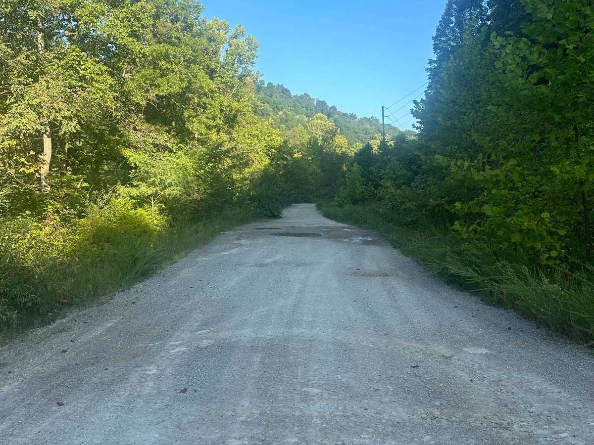 Gabe's Branch Road photo 2