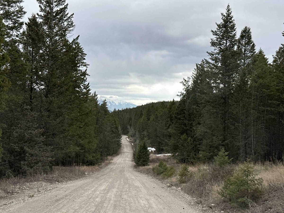 Redrock FSR photo 5