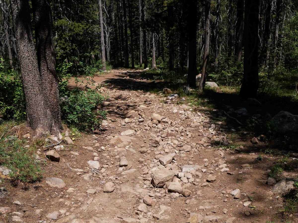 North Middle #3443  trail photo