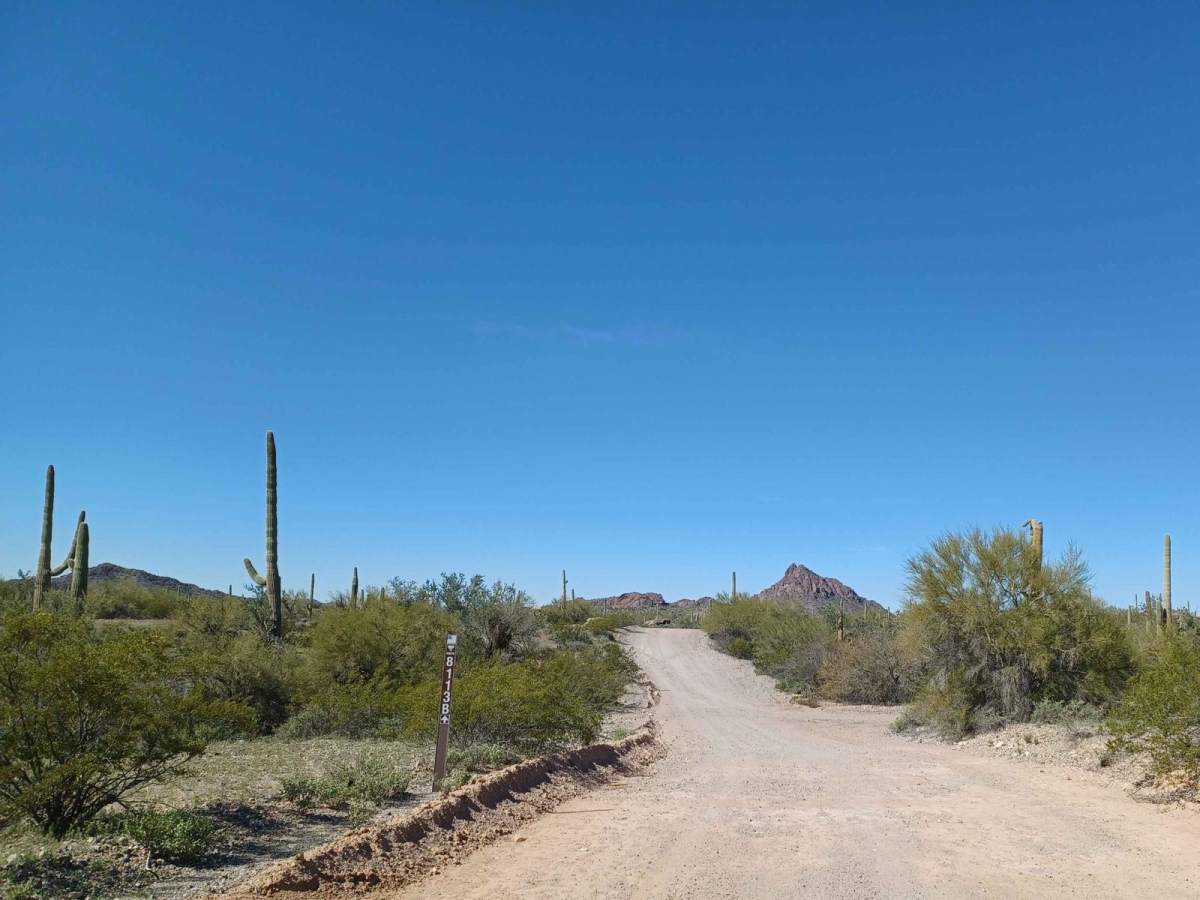 8113B Cemetery Road trail photo