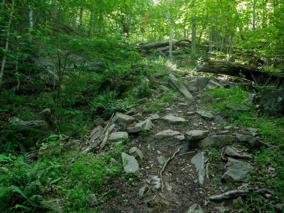 River Road trail photo