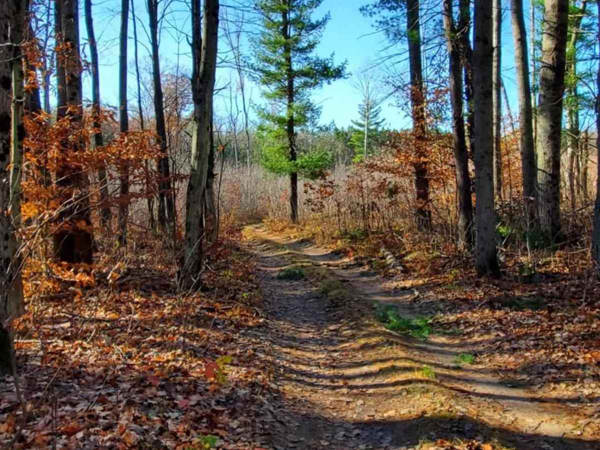 Trail 7322 photo 6