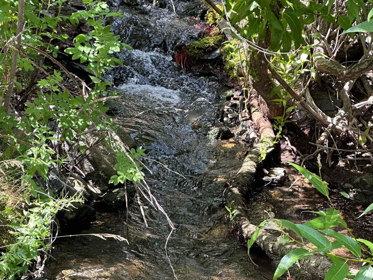 Abel Creek photo 2
