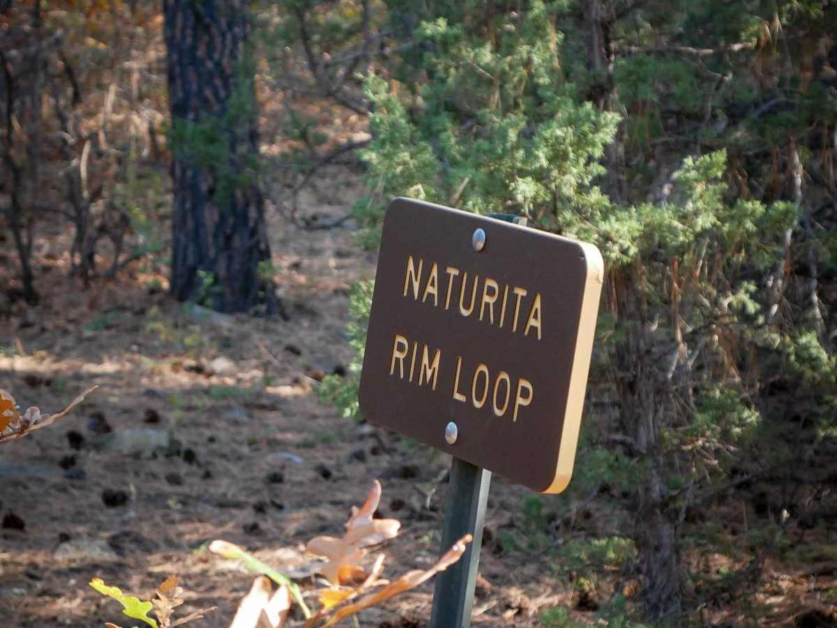 Naturita Rim photo 2