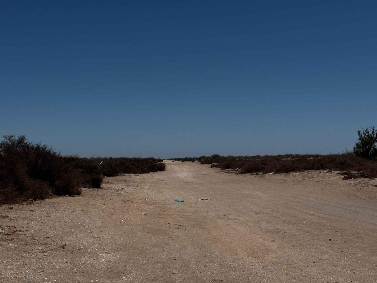 Rofomex photo 3