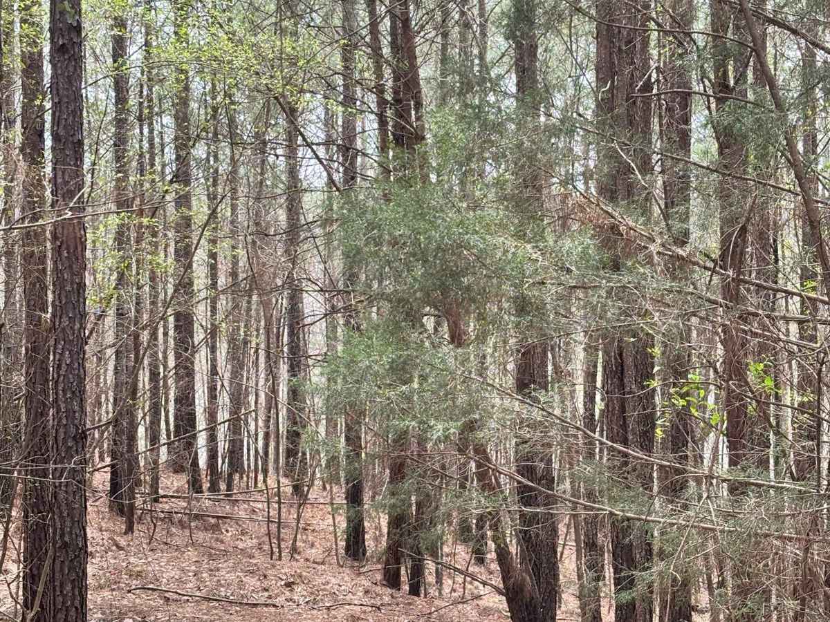 419F photo 2