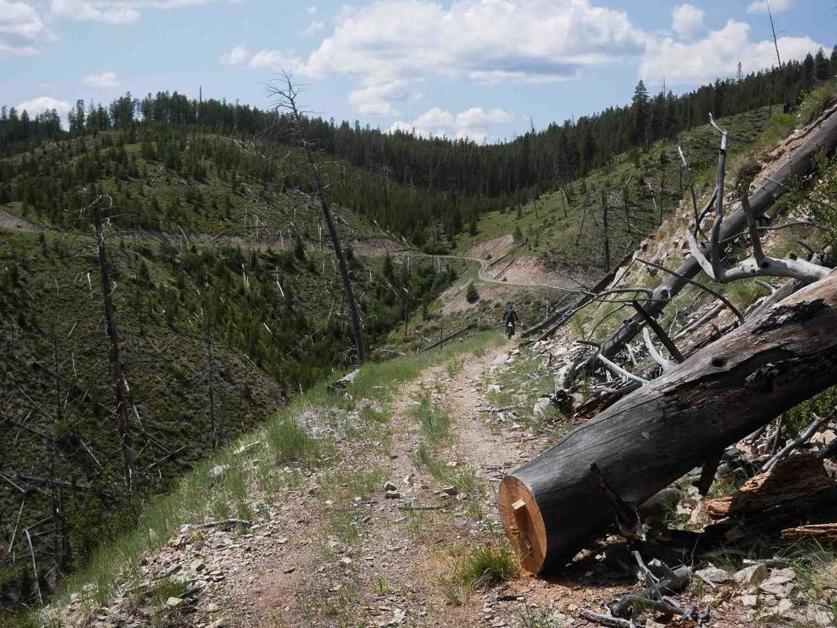 5706A trail photo