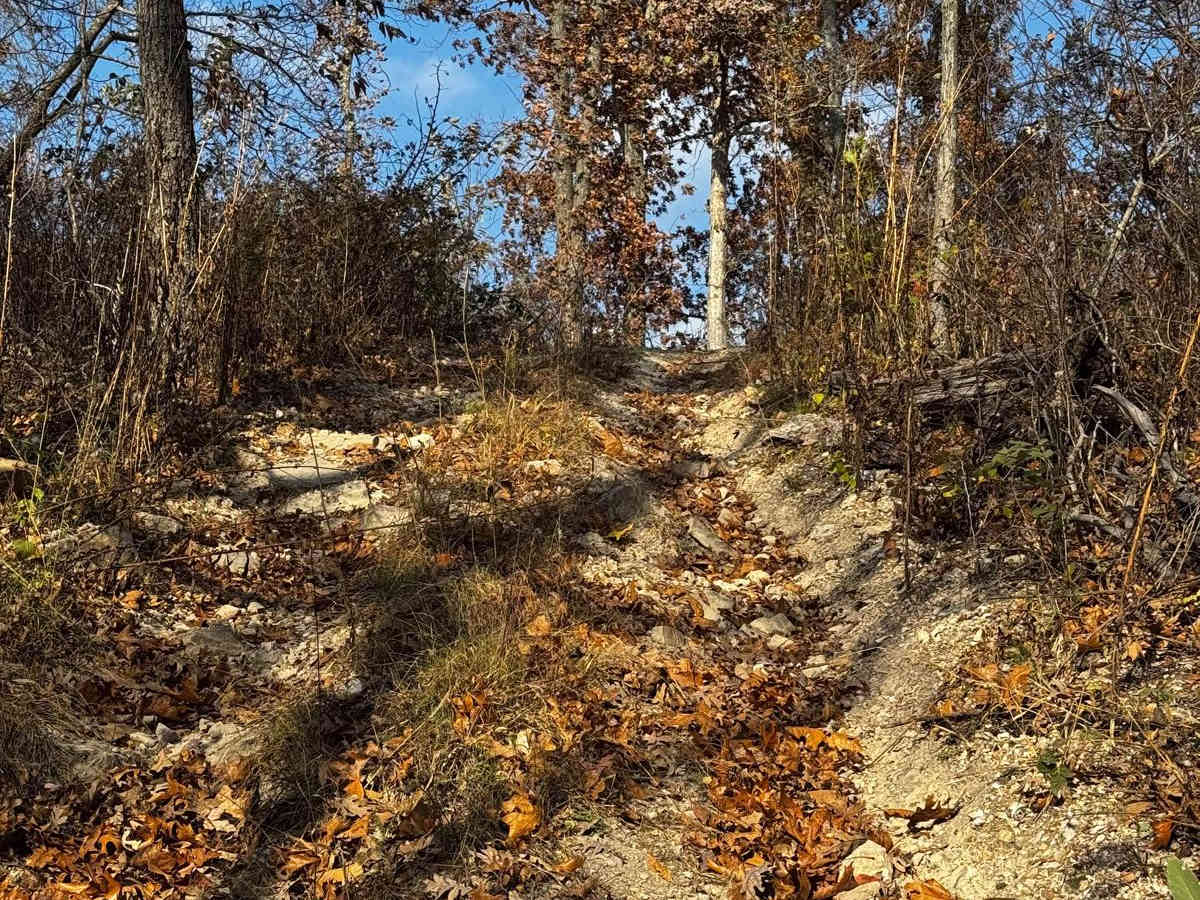 Wee Wee trail photo