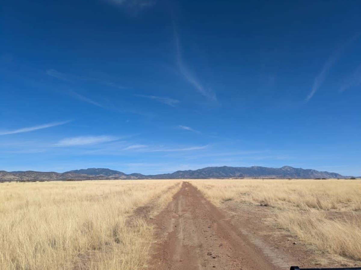 Max Tank Road trail photo