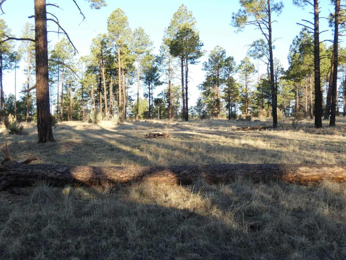 Adobe Ranch Road photo 3