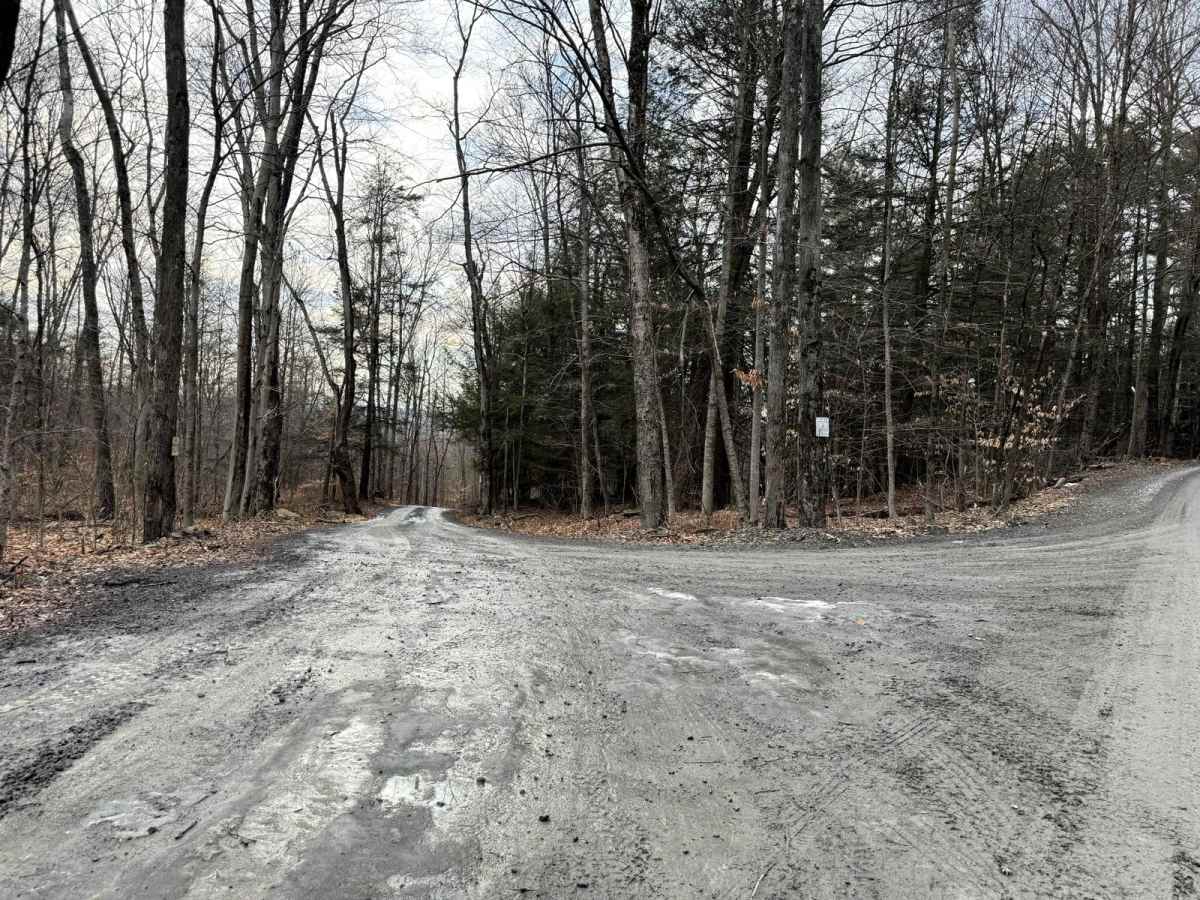 Kelly Road photo 6