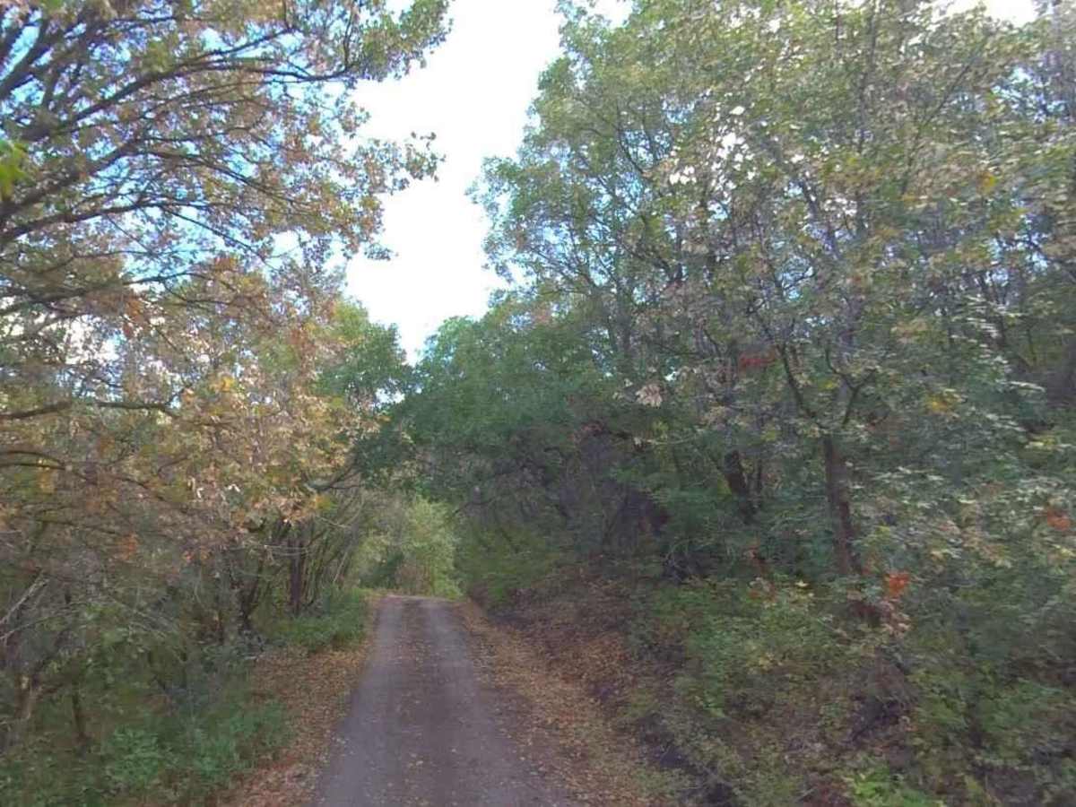 Trail Spring Bench- FS 40107 photo 3