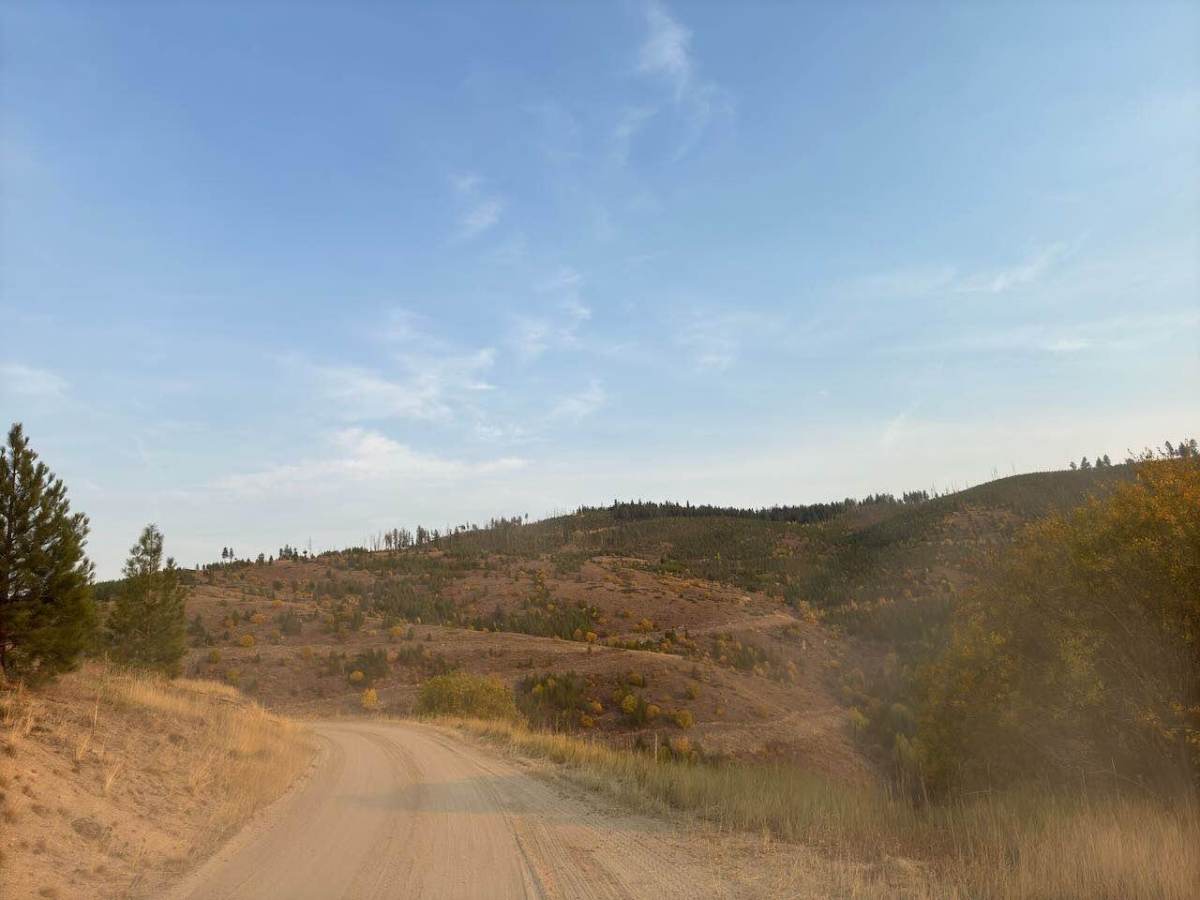 North Rye Mine photo 4