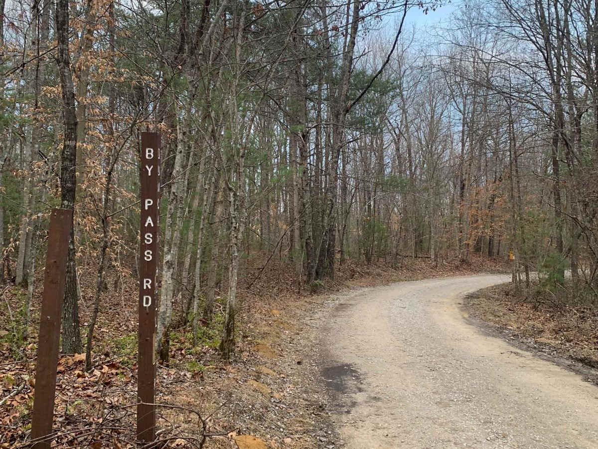 Bandy Creek Trek photo 3
