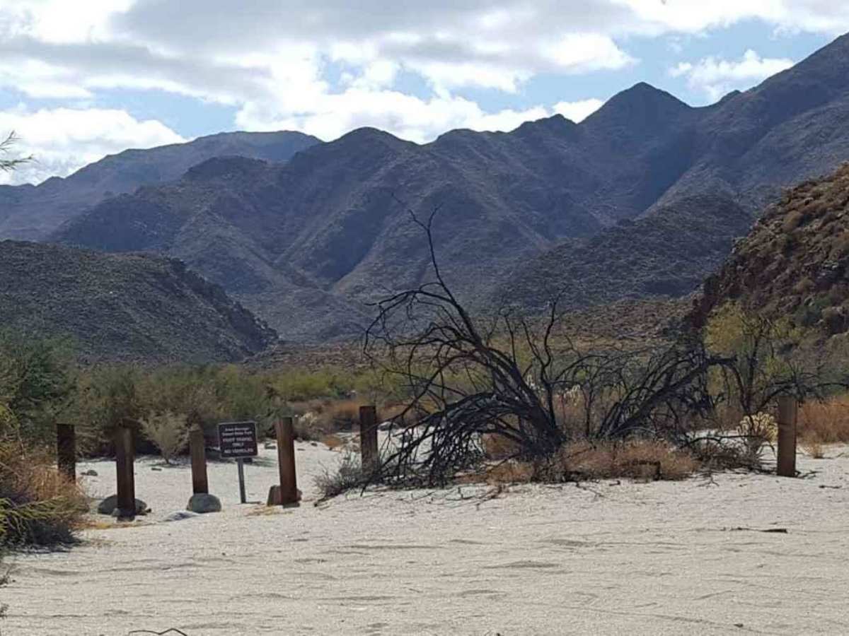 Carrizo Canyon trail photo