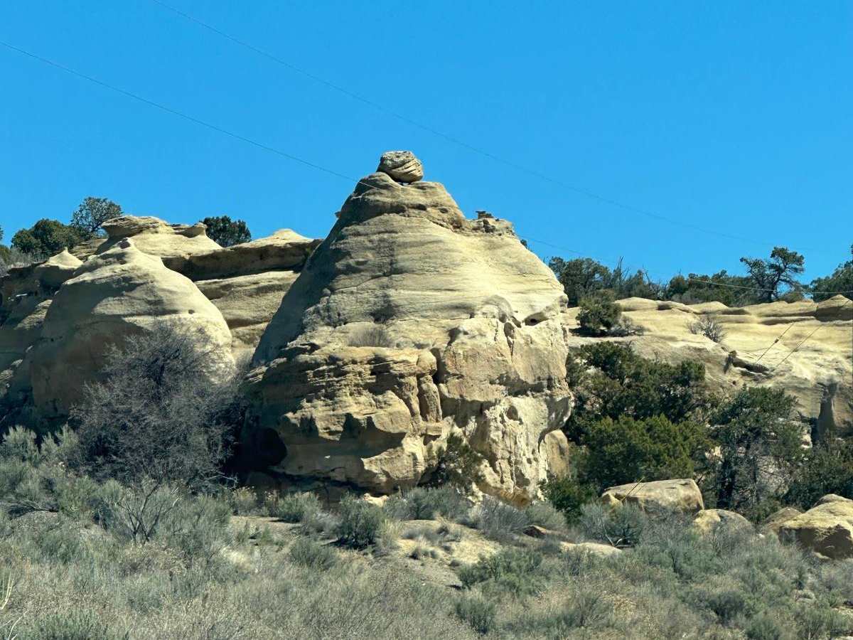 Rock Garden photo 3