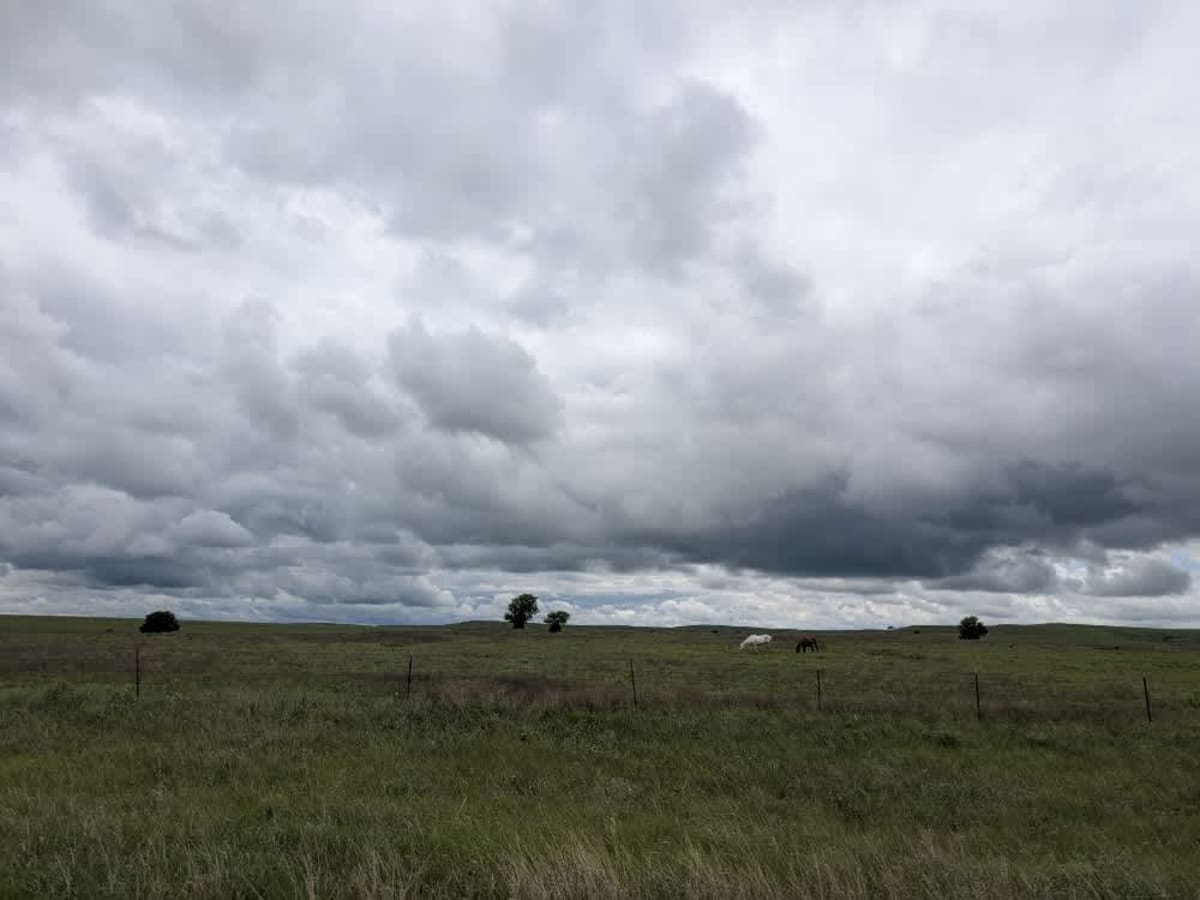 River Road photo 3