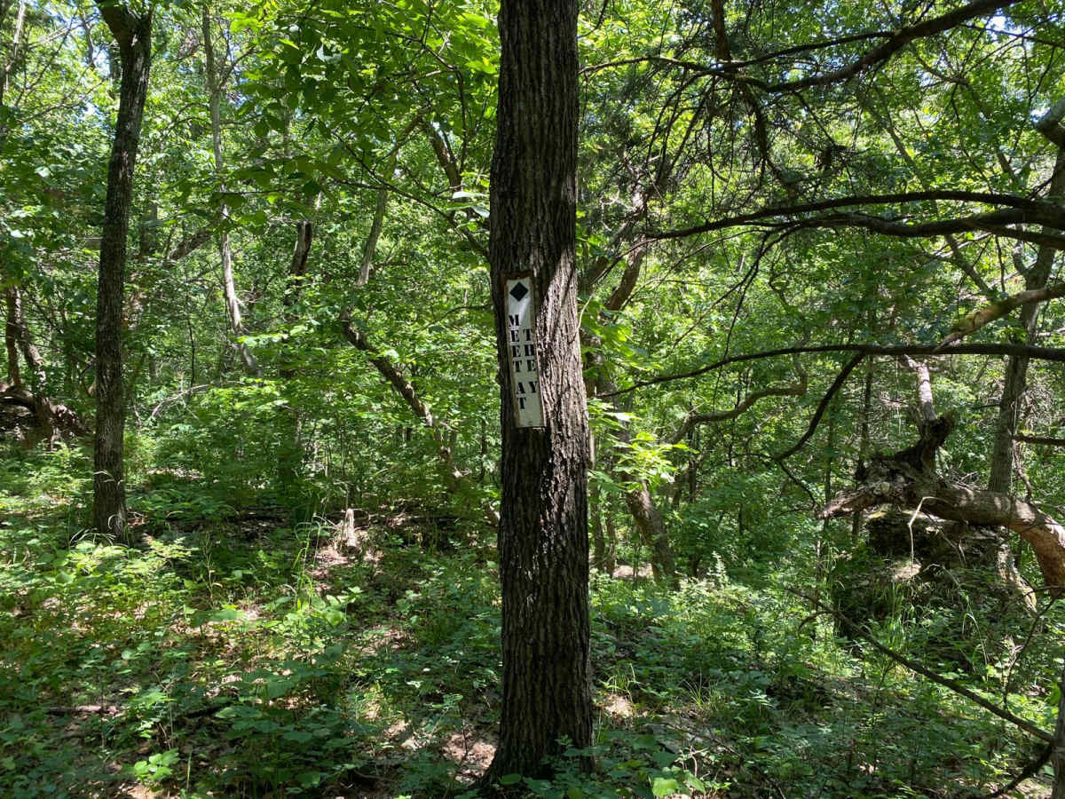 Meet at the Y trail photo