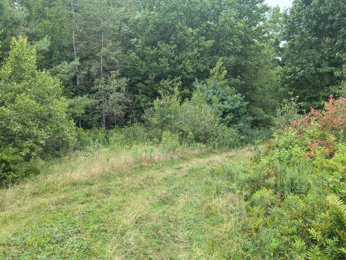 Stetson Road photo 4
