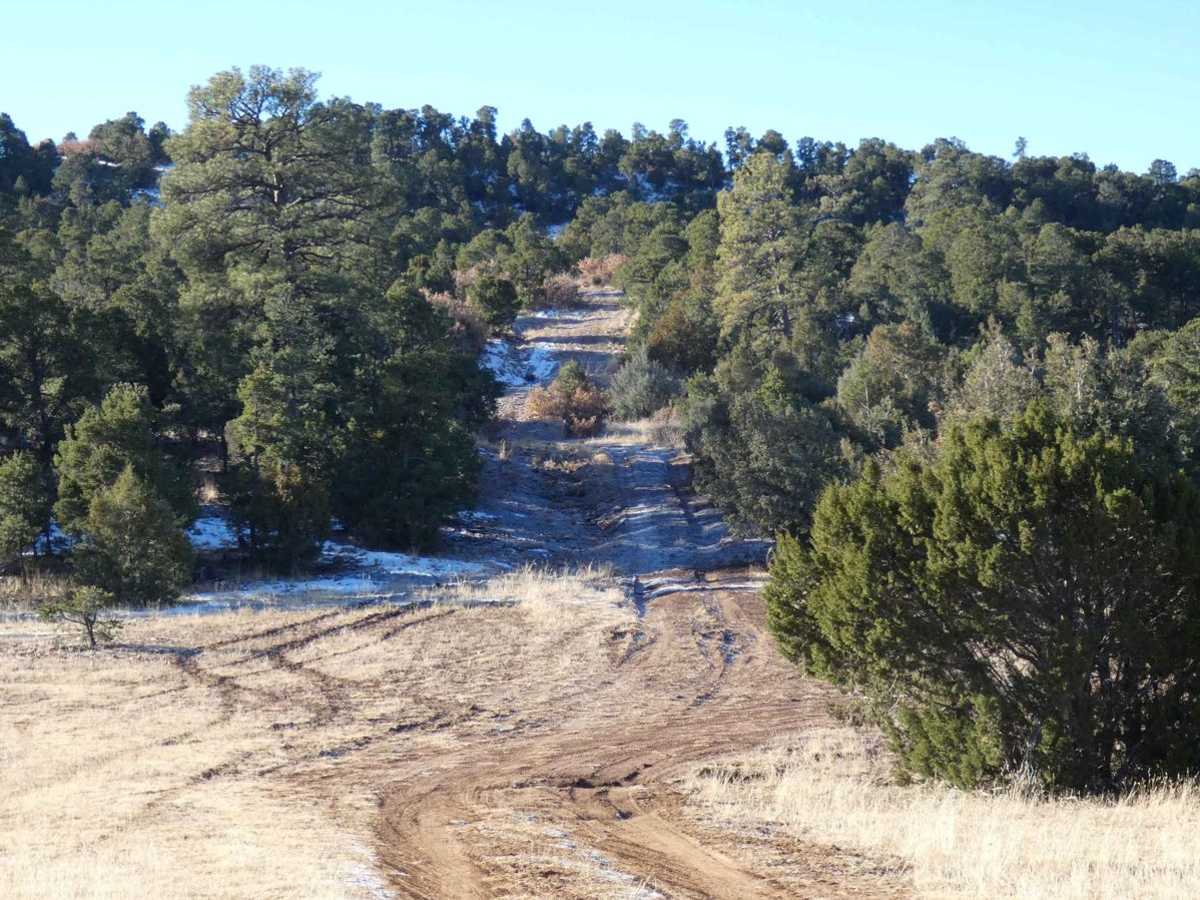 Cerro Encinoso Loop photo 3