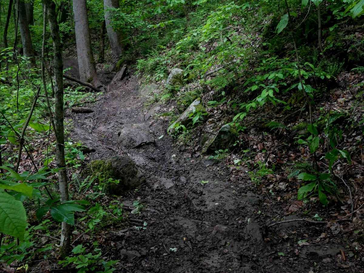 T14 photo 6