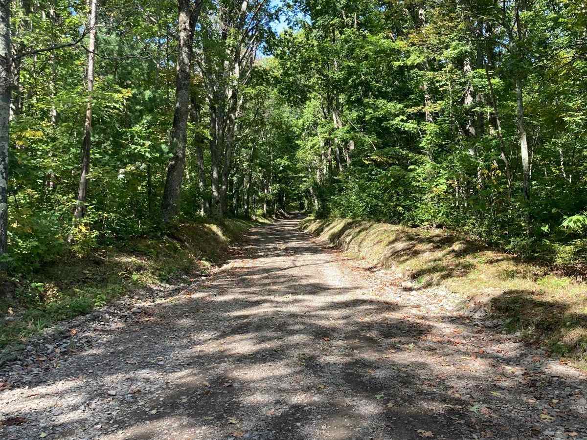O'Brien Road photo 2