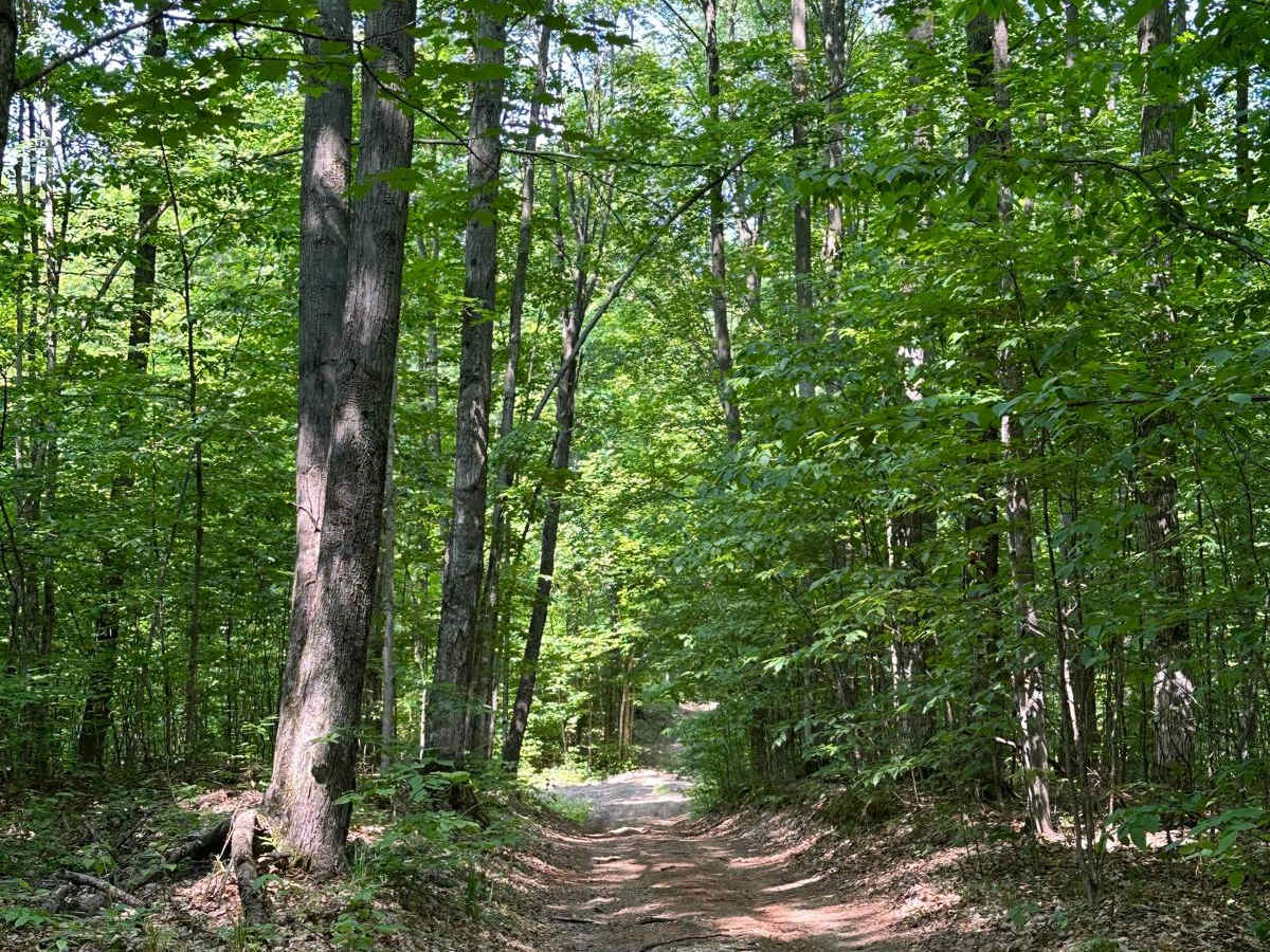 State Road photo 5