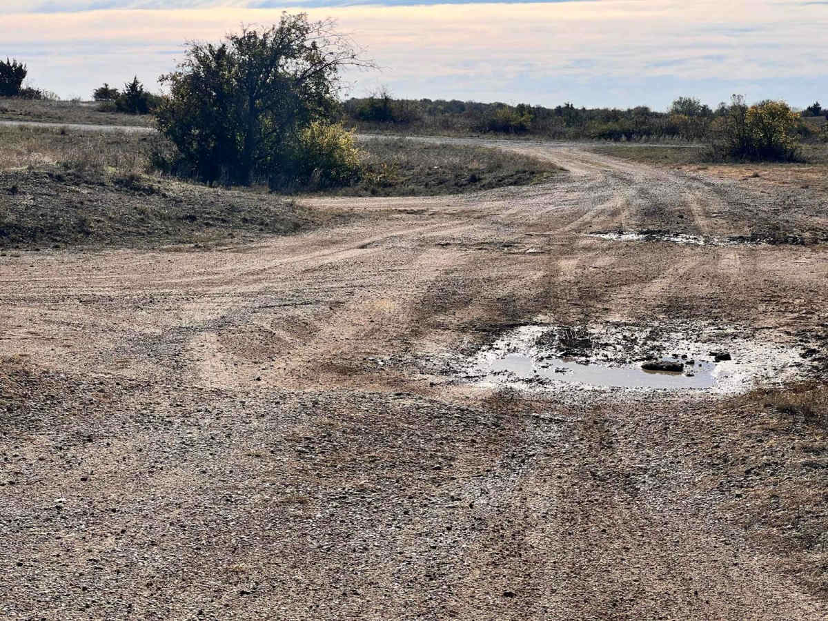Overloop Bluff photo 6