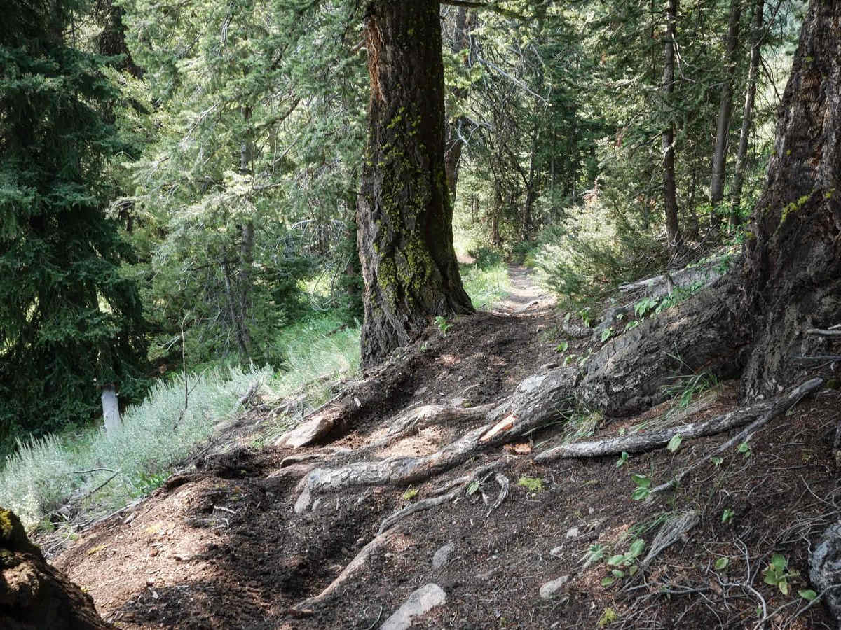 Peach Cinnabar/ Peach Creek trail photo