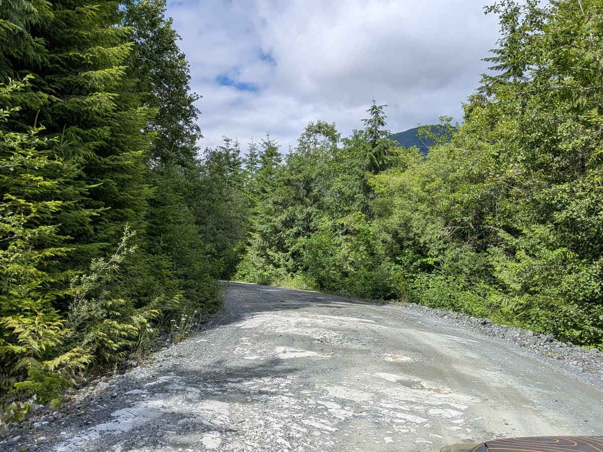 Gordon River South trail photo
