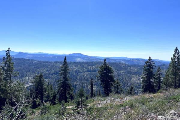 Red Mountain Road