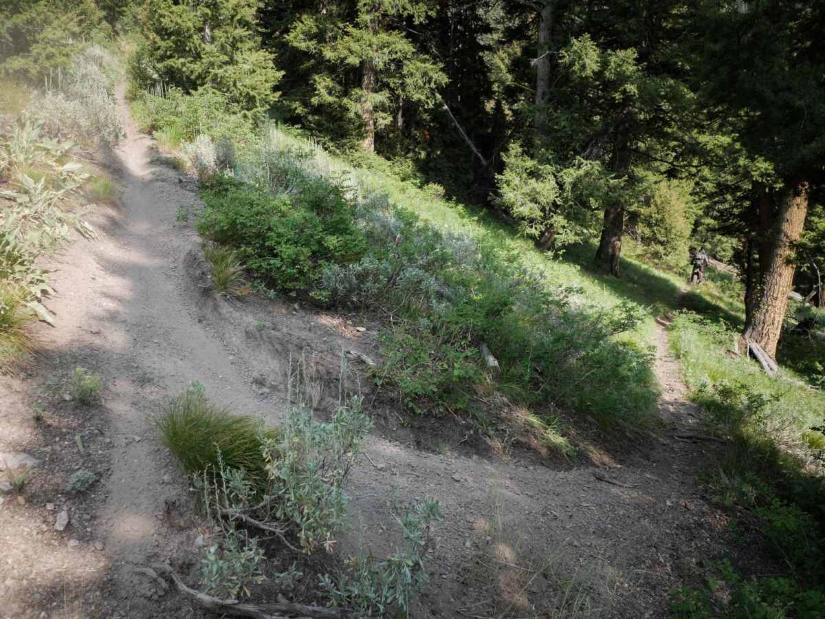 Peach Cinnabar/ Peach Creek photo 2
