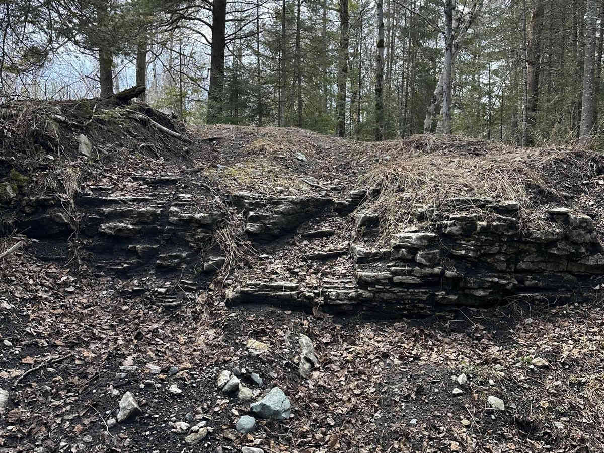 Moss Rock photo 4