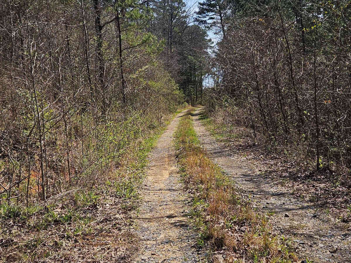 Drew Ridge photo 5